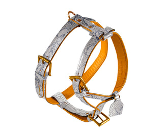 Top Luxury H-harness with bowtie