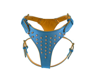 Y-harness with spikes