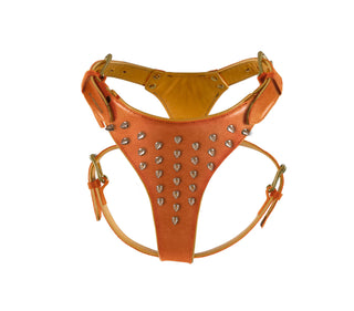 Y-harness with spikes