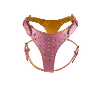 Y-harness with spikes