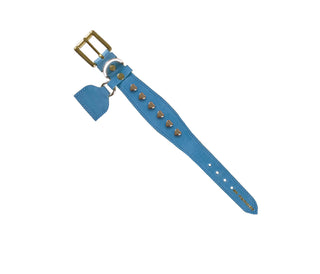 Collar Perro Extra Ancho Corazones Celeste