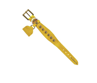 Collar Perro Extra Ancho Corazones Grabado Amarillo