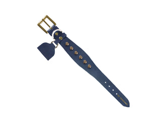 Collar Perro Extra Ancho Corazones Marino