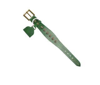 Collar Perro Extra Ancho Corazones Verde