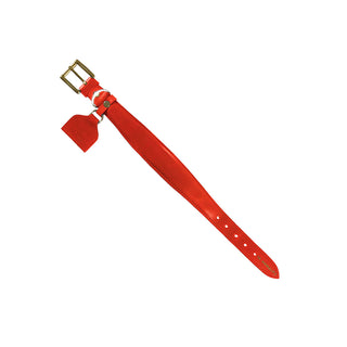 Collar Perro Extra Ancho Rojo