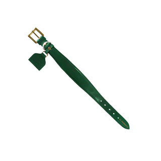 Collar Perro Extra Ancho Verde