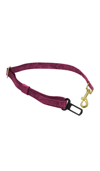 Top Luxury car leash