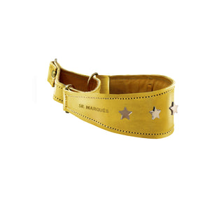 Martingale estrellas cuero perro Sr. Marques