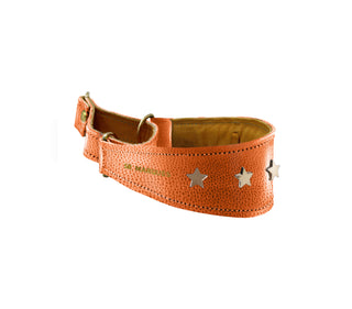 Martingale estrellas cuero perro Sr. Marques