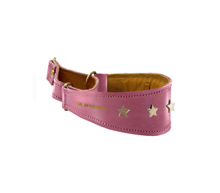 Martingale estrellas cuero perro Sr. Marques